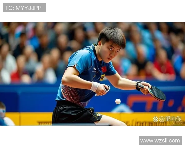 北京网球队区域防守革新之路：战术变革与未来展望